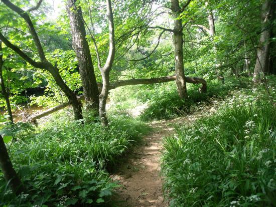 Shakin' Brig of Edzell